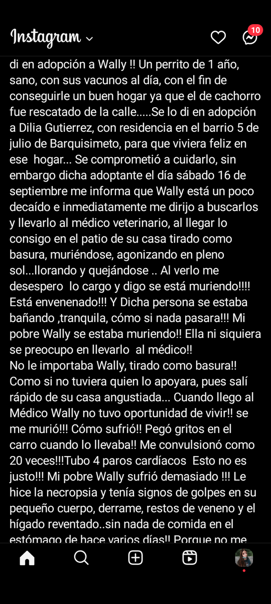 ros245's tweet photo. Justicia para Wally #Barquisimeto su adoptante le dió veneno, lo golpeó, lo amarro en el sol sin comida ni agua para que muriera. 😡😡😡#justiciaparawally @divanparaperros @PerroUsuario @TarekWiliamSaab @Janya75 @perritocallejer https://t.co/oWoKFQIFuM