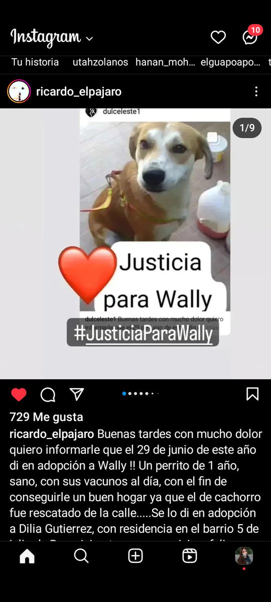 ros245's tweet photo. Justicia para Wally #Barquisimeto su adoptante le dió veneno, lo golpeó, lo amarro en el sol sin comida ni agua para que muriera. 😡😡😡#justiciaparawally @divanparaperros @PerroUsuario @TarekWiliamSaab @Janya75 @perritocallejer https://t.co/oWoKFQIFuM