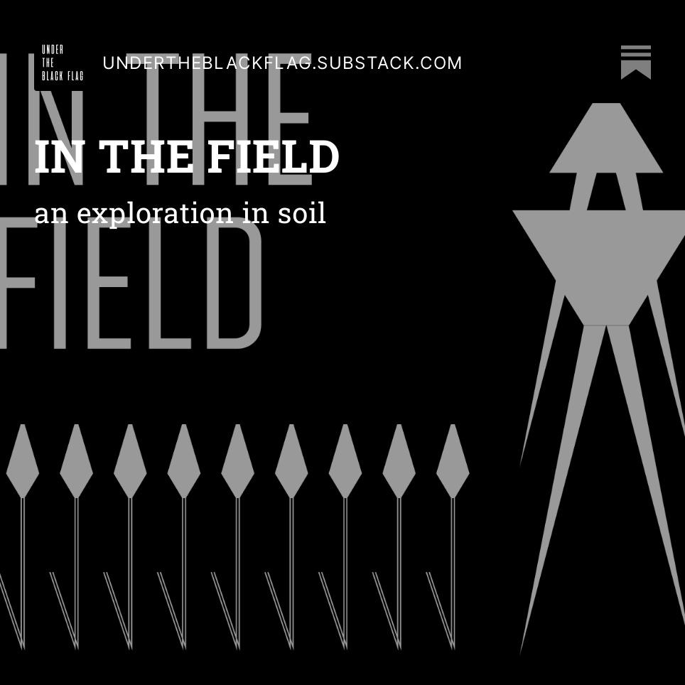 New Series kicking off this week on my substack.....