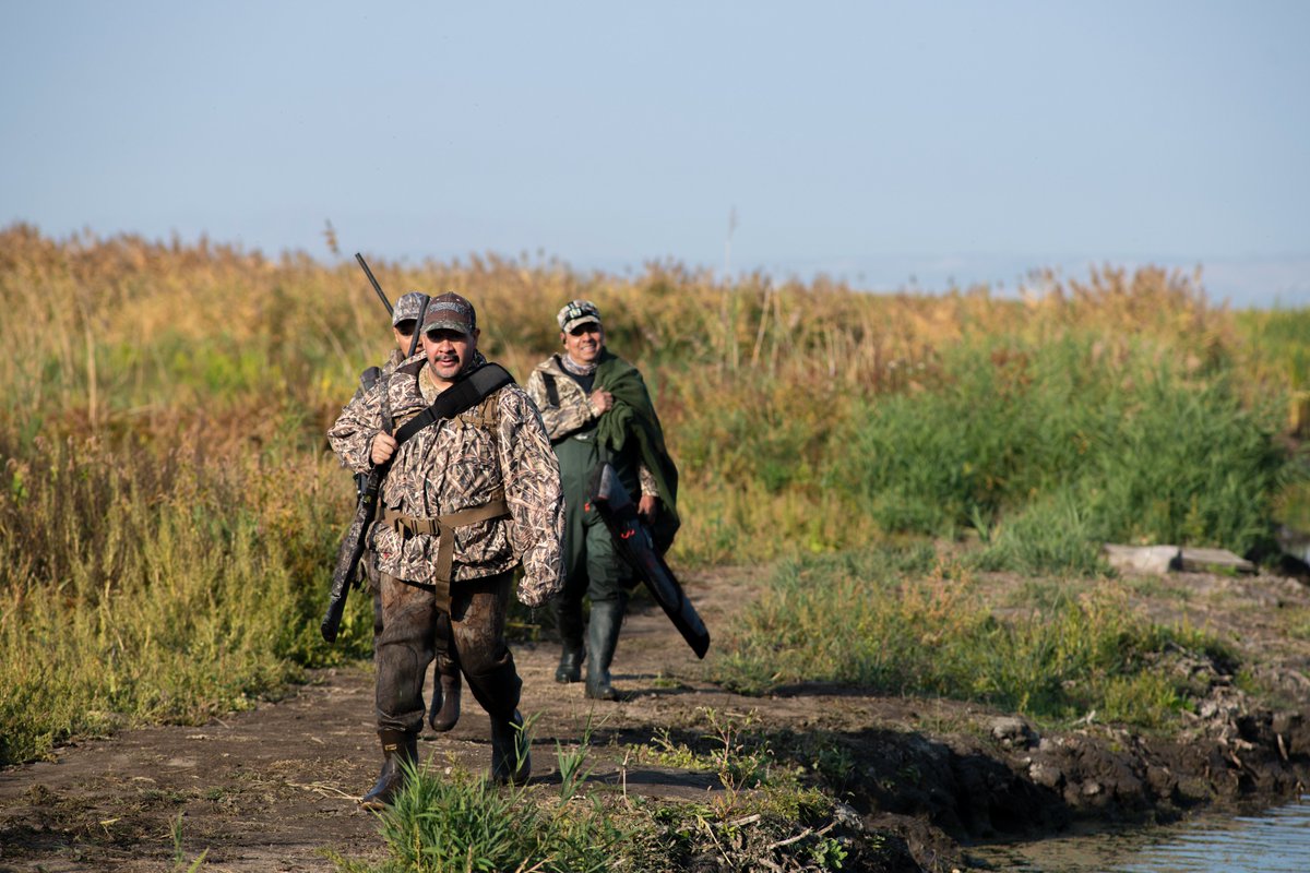 As of last week, there were 24 Utah waterbodies under harmful algal bloom advisories. ⚠️ If you’ll be hunting Utah’s Northern Zone waterfowl opener this weekend, be sure you know how to recognize and avoid harmful algal blooms: bit.ly/3tkljUs