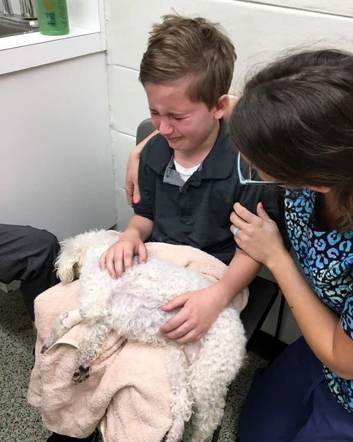 Well, today didn't go as we hoped but it's in the hardest of times we learn the best lessons and feel the most gratitude.
Buffy was scheduled to have her teeth cleaned and removed today but Dr. Mac had a gut feeling she needed to look at some lab work before putting her under