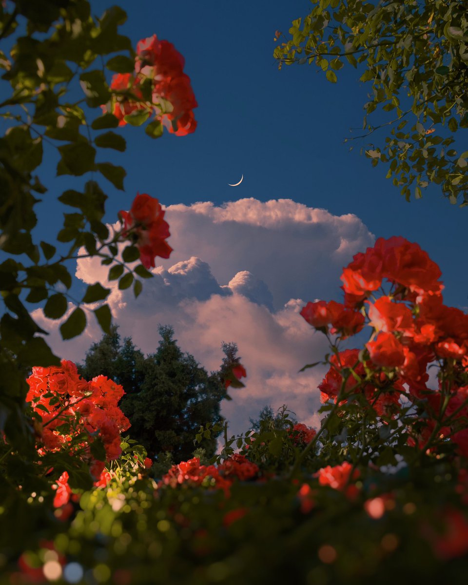 Gm! Autumn palettes for your week