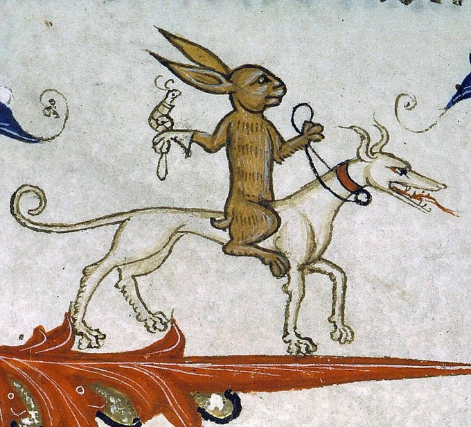 rabbit riding dog with trained hunting snail, france, 14th century