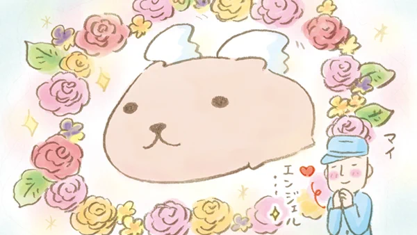 マイ エンジェル…✨   #天使の日 #カピバラさん #お兄さん
