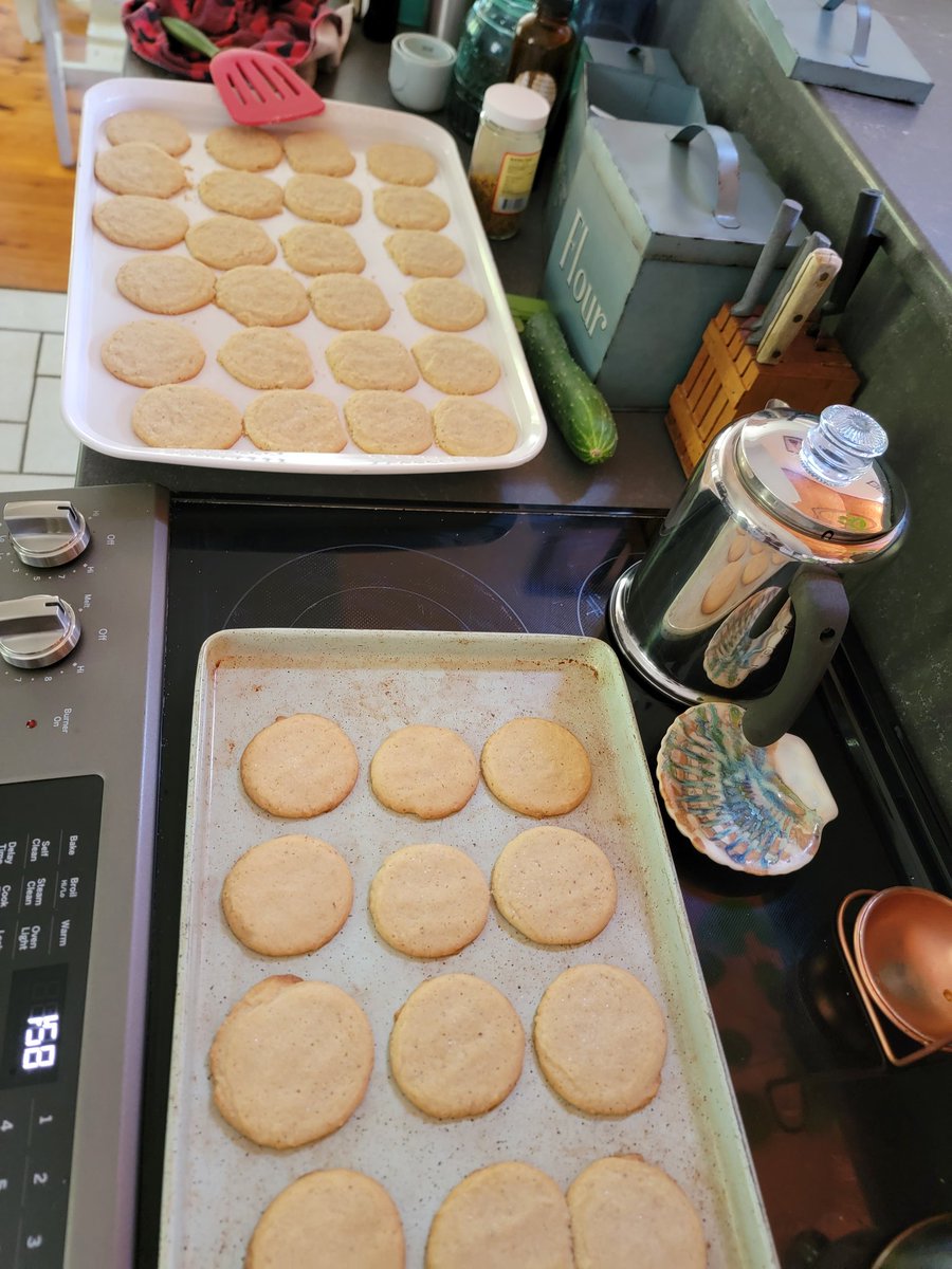 LeoraWinter03's tweet photo. Mine still need icing! I have to run to the store to finish them! 😬
#BakersGonnaBake https://t.co/aV02Kt7WtS