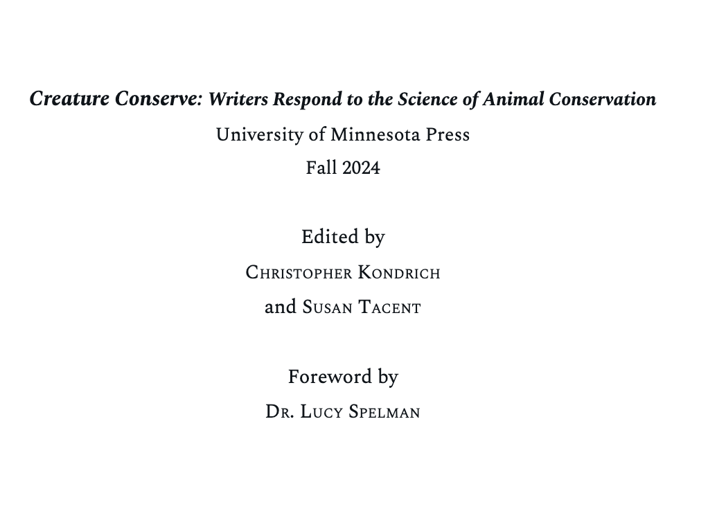 ChrisKondrich's tweet photo. Now that a contract has been signed, I'm thrilled to announce Creature Conserve: Writers Respond to the Science of Animal Conservation, a collection I've co-edited w/ @SusanTacent, forthcoming from @UMinnPress in Fall 2024! https://t.co/xy1Yv52Rof