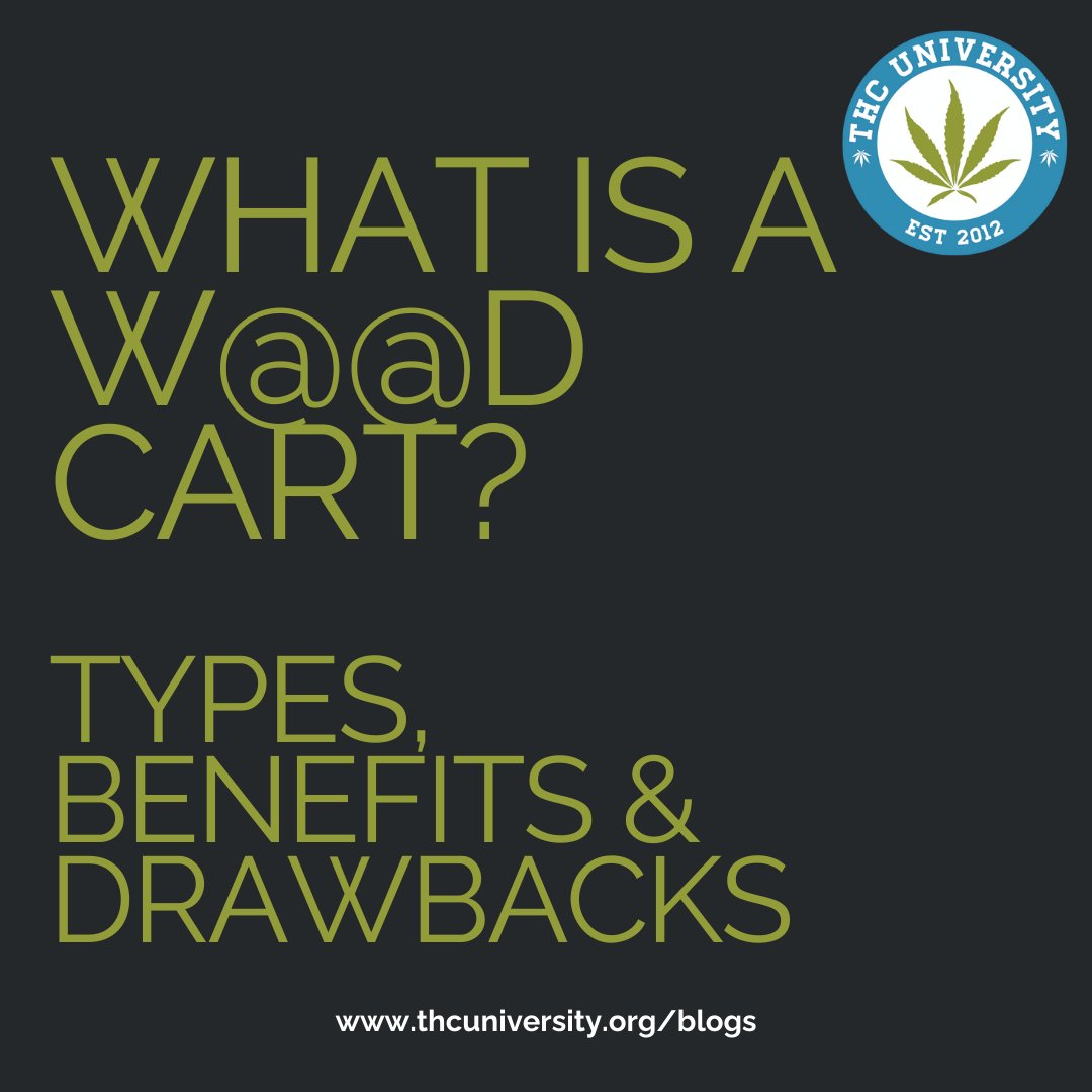 THC University tweet media