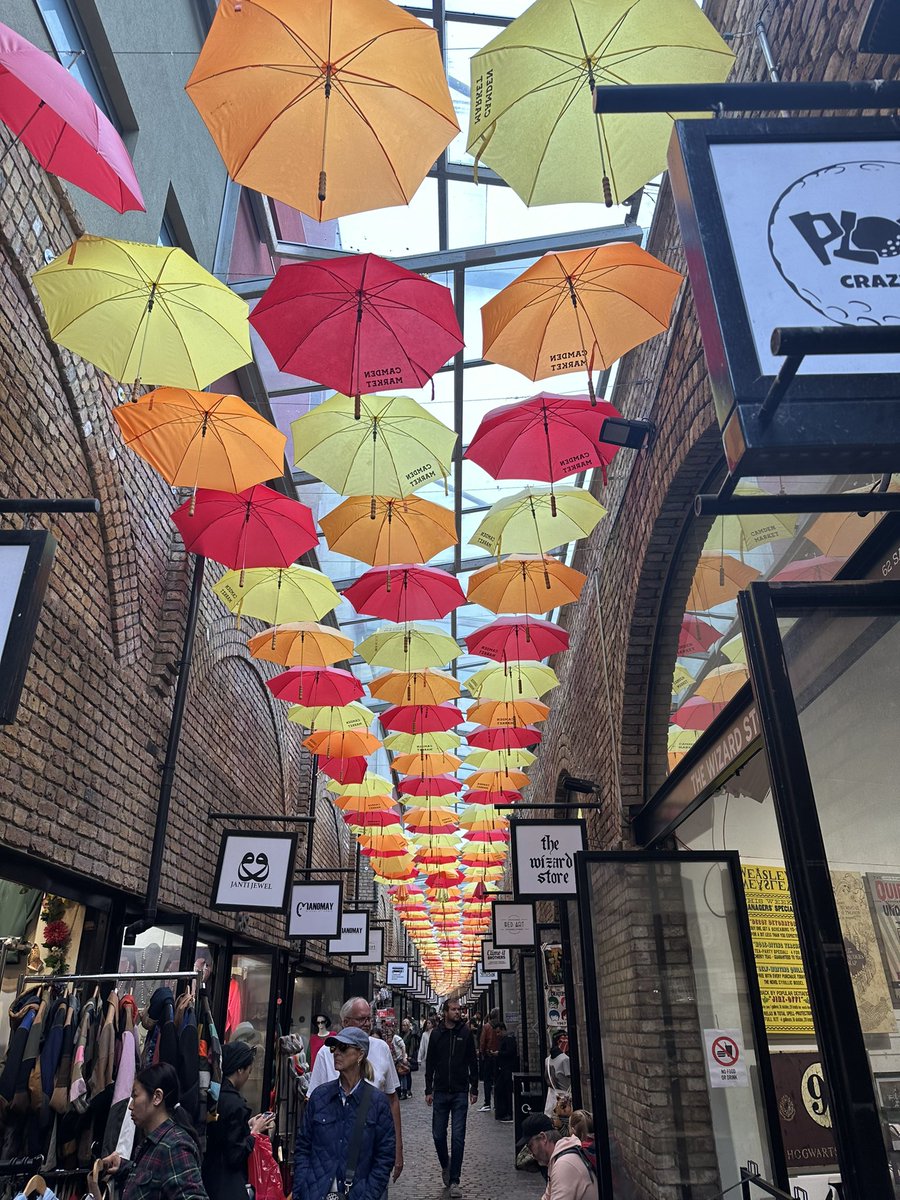 flashy's tweet image. 