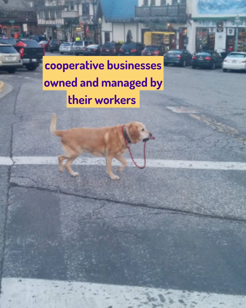 Just going for our daily stroll. 🐕

Want to build your coop's confidence in collective resource management?
Come to our financial workshops together!:
🌟Cosmos Financial Foundations series
🌟Patronage in Worker Coops special session Registration here: bookkeeping.coop/events/