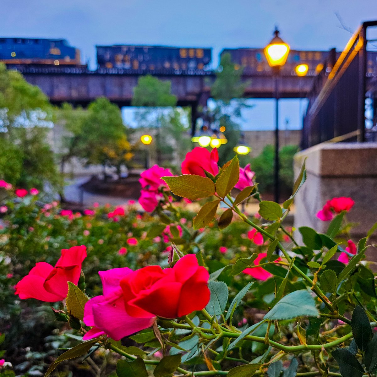 Adam Mistler tweet media