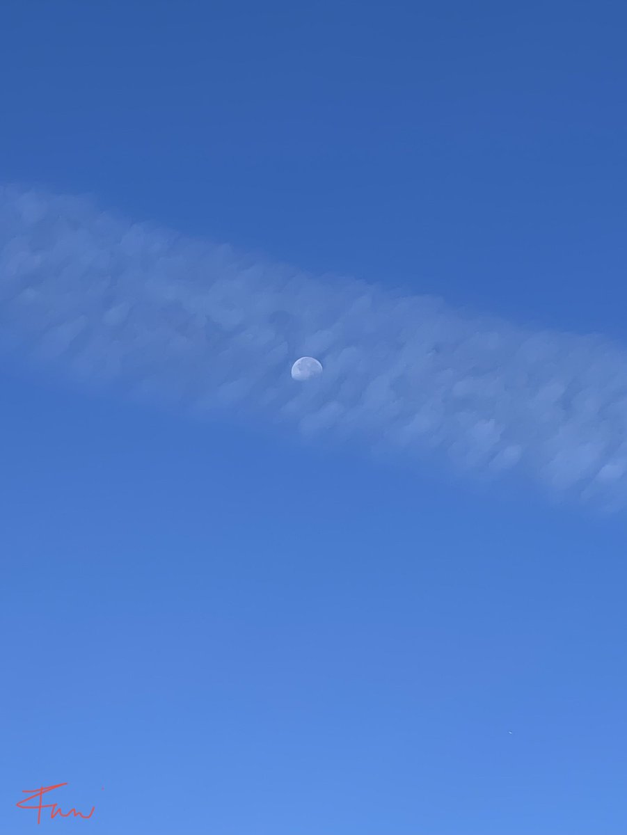 WeatherGirlofLA's tweet photo. The Morning Sh*t I mean Sky Show p.3 Sunny, but…😬 @frankyclarke @Chemtrail101 @JayneJ07 @DELTA9_DELTA9 #chemtrails #DARPA #HAARP #cloudseeding #weathermanipulation #BillGates #SMC https://t.co/Yp6yQsMRVt
