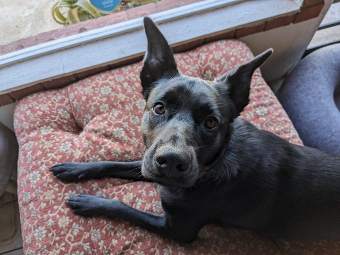 Chica bb 💕 https://t.co/8c00Q5WGdb