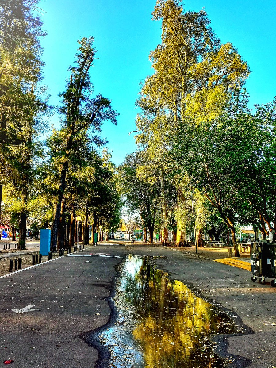 Esperando la primavera.
@ThePhotoHour 
@hacerfotos 
@RespiraArg 
@Imagen_Arg 
@PintoFotografia @visitbaok 
@YoushowmeP