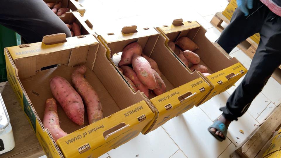 EnyonamManye's tweet photo. Orange flesh sweet potatoes 🍠 grown, harvested &amp; ready for the export market from Ghana’s biggest vegetable farm @maphlixtrust .

I believe, as a small farmer Partnerships are essential for agribusiness success. Opportunity to access new markets, share knowledge &amp; resources. https://t.co/ucBH3WYsZ2