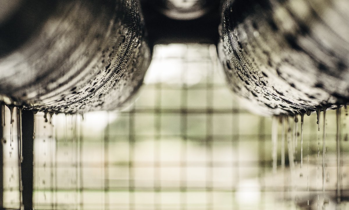 Sheppy's Cider tweet media