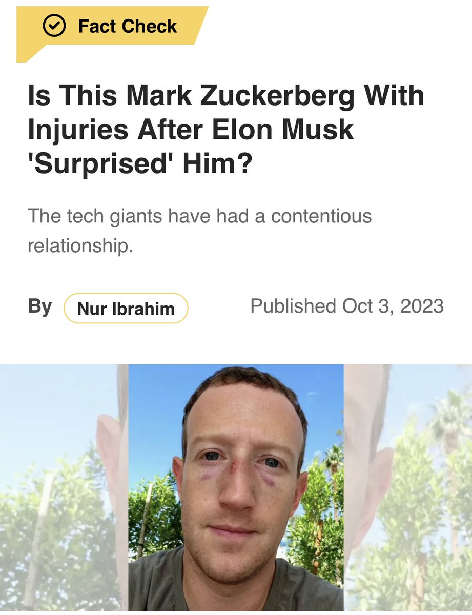 Mainstream Media is so dumb that its literally fact checking a literal meme I posted. 🤣