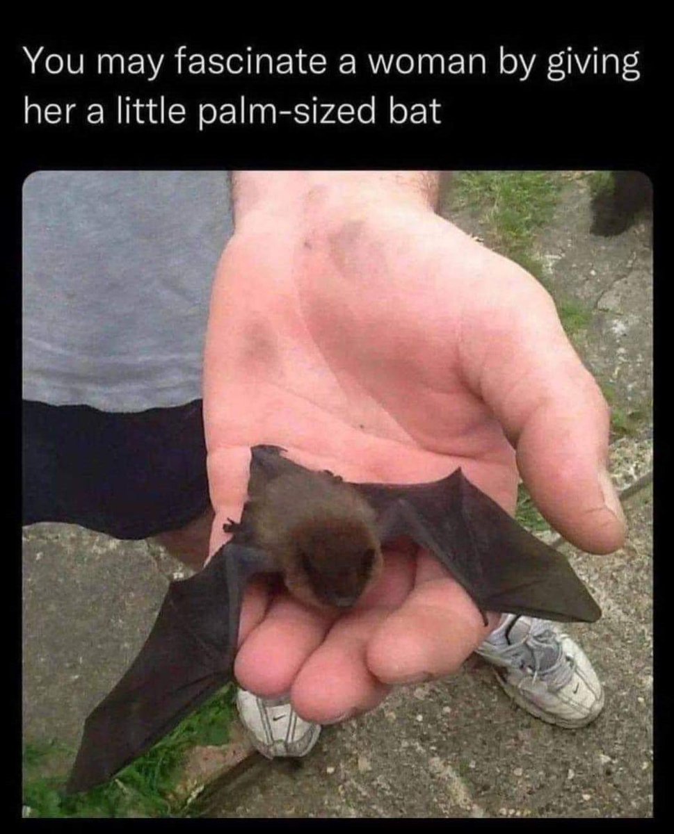 hearthfirearts's tweet photo. 🦇🦇 https://t.co/oUXJvUN8IF