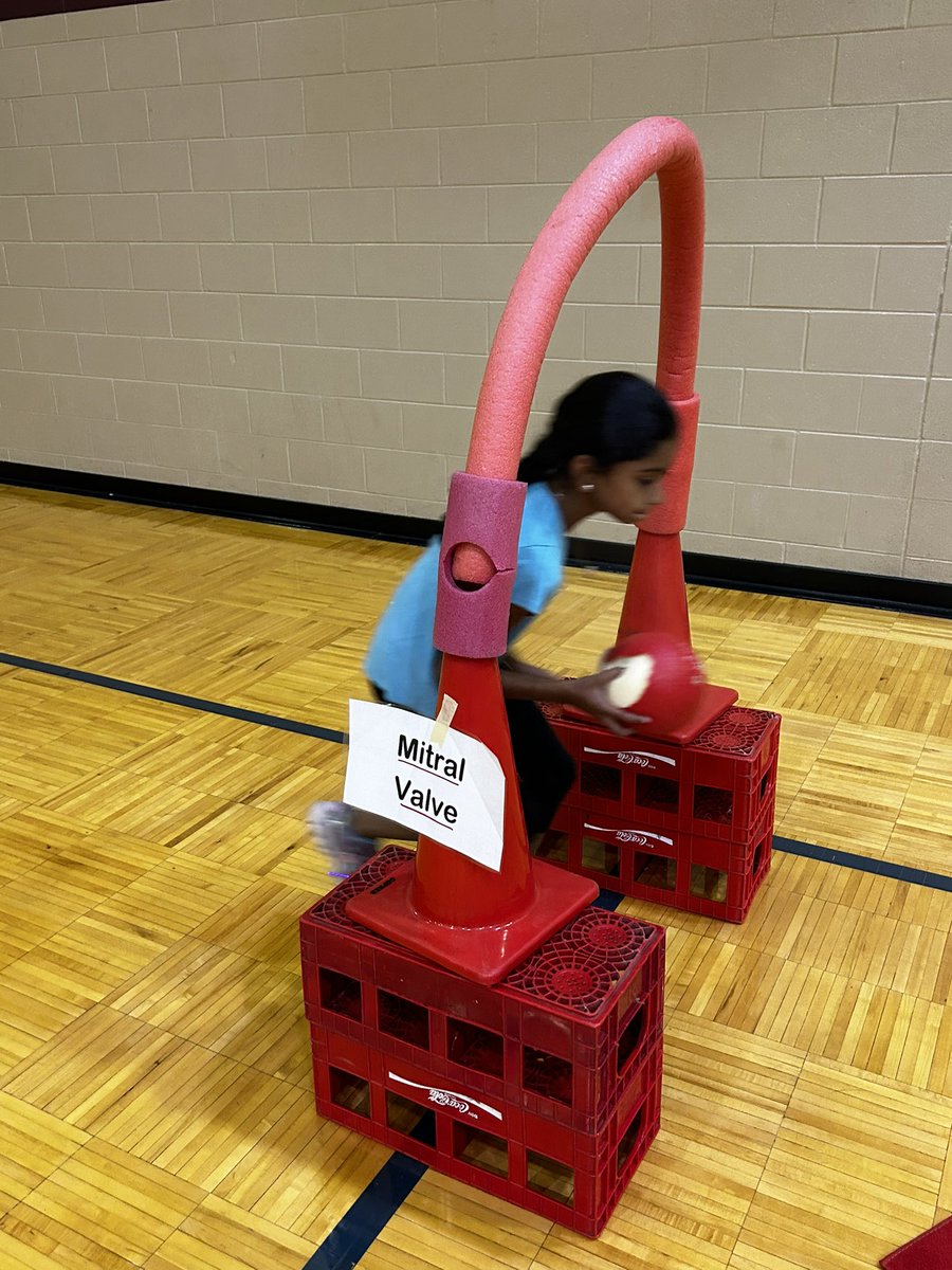 Mrs. Mercer tweet media