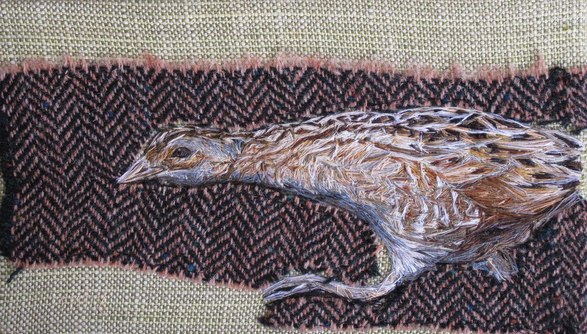 Corn Crake original bird thread painting - hand stitched artwork. Framed. emilytull.co.uk/store/p107/cor… #HandmadeHour #WildlifeArt #embroidery