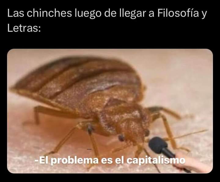 Oigans.
¿Cuál sería la explicación para el asunto de las chinches en CDMX?
Han cerrado algunas Facultades de CU, el caso de las chinches en el metro y algunos edificios públicos. Pasen el Link de alguna fuente que explique con rigor este asunto.