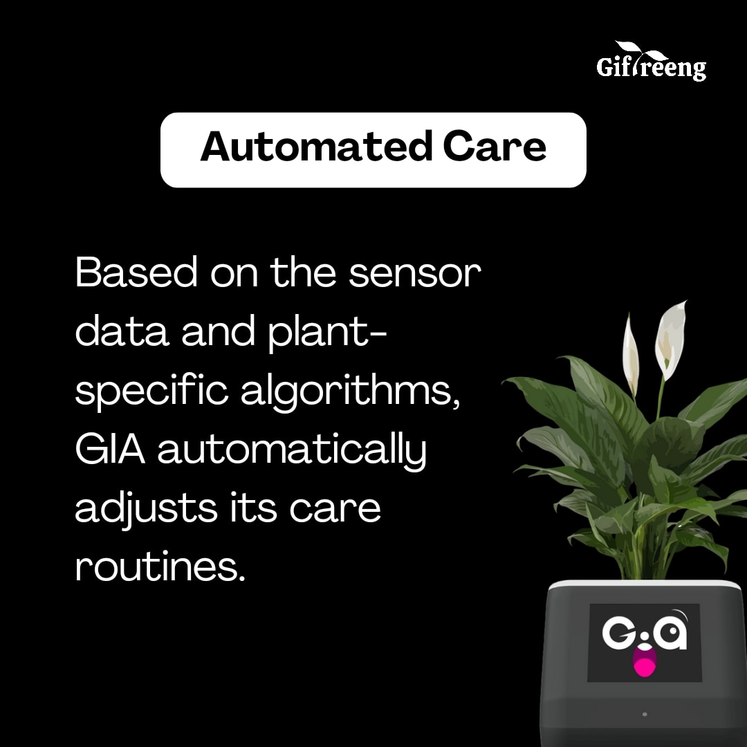 giftreeng's tweet photo. 🌱
. 
. 
. 
. 

#GIAPlantCare #Giftreeng #PlantCare#plantreels #plantparent #plant #plantsofinstagram #plantas #plantbaseddiet #houseplants #plantpower #plantsmakepeoplehappy #plantlife #indoorplants #plantpowered #plantstrong #plantlover https://t.co/0GuRroxZ82