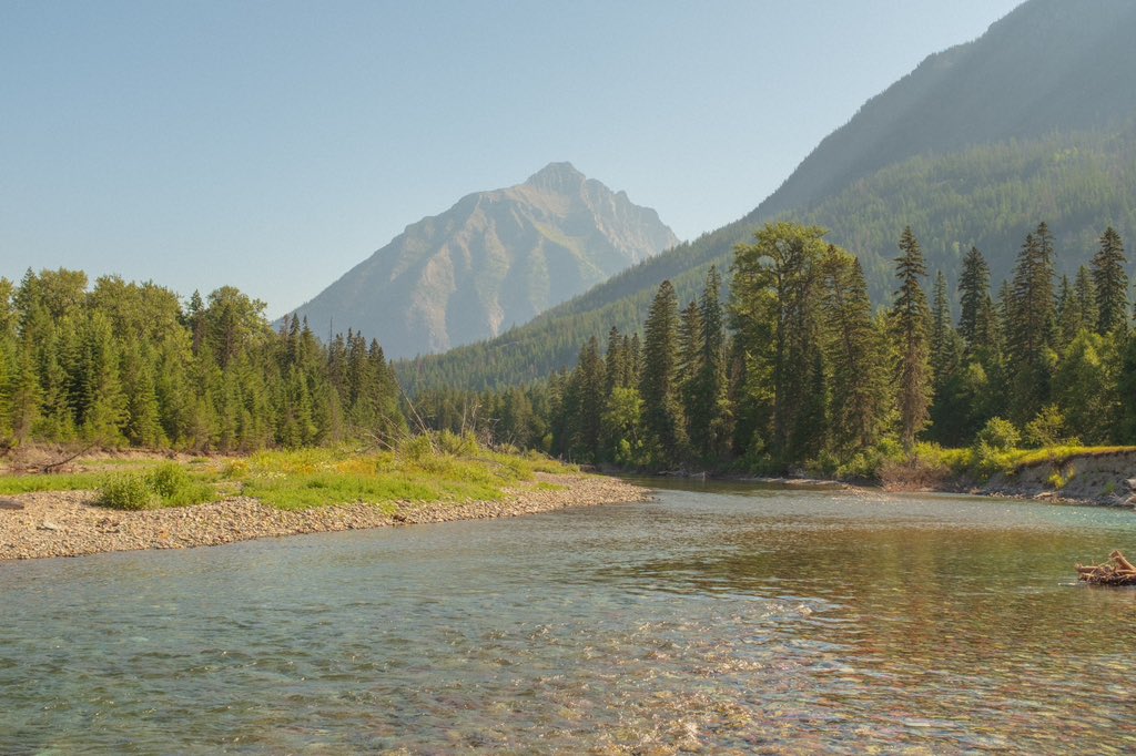 ryanadrift's tweet photo. summer in Montana- https://t.co/47F75yGKyy
