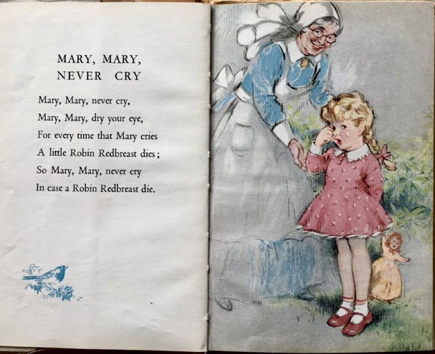 Helen Day tweet media