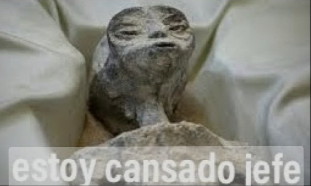-Martes recién. 
-Yo: