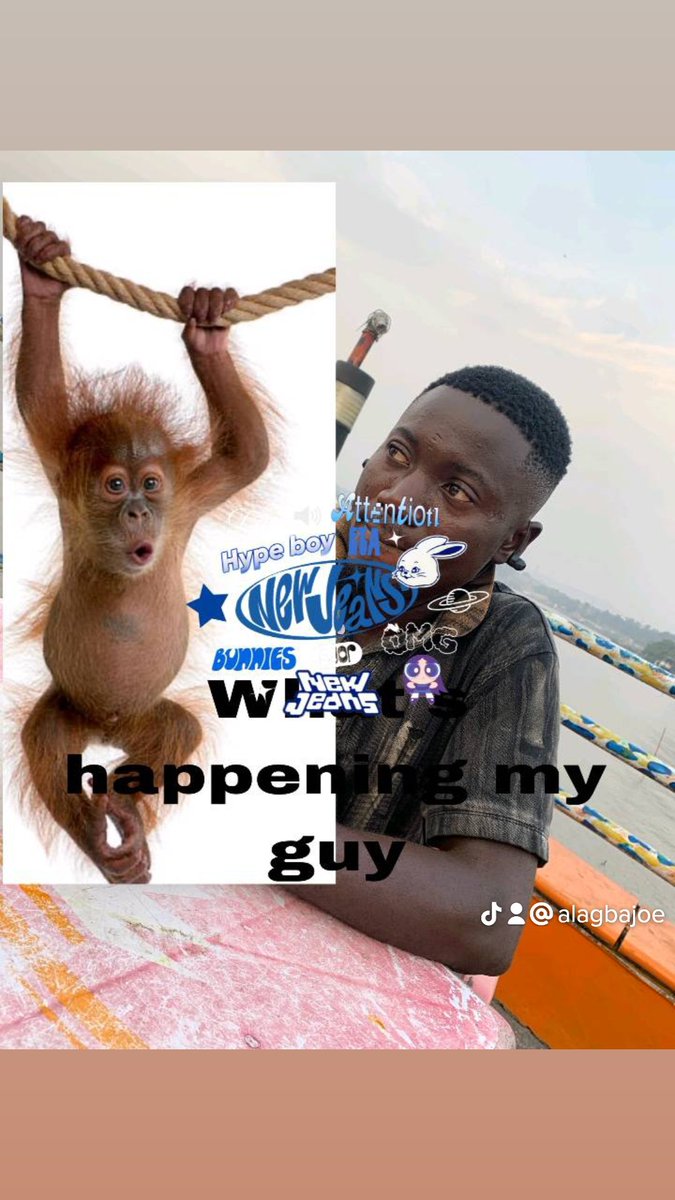 ALAGBAJOSEPH1's tweet photo. What are you waiting for let's return to monke #FYP #fypinu #returntomonke #monke #fypinu @AltcoinDailyio @BVSOlli @coinclub_ @coreydh939 @Oslosisnear @JoelOsteen https://t.co/SoMhQVZc52