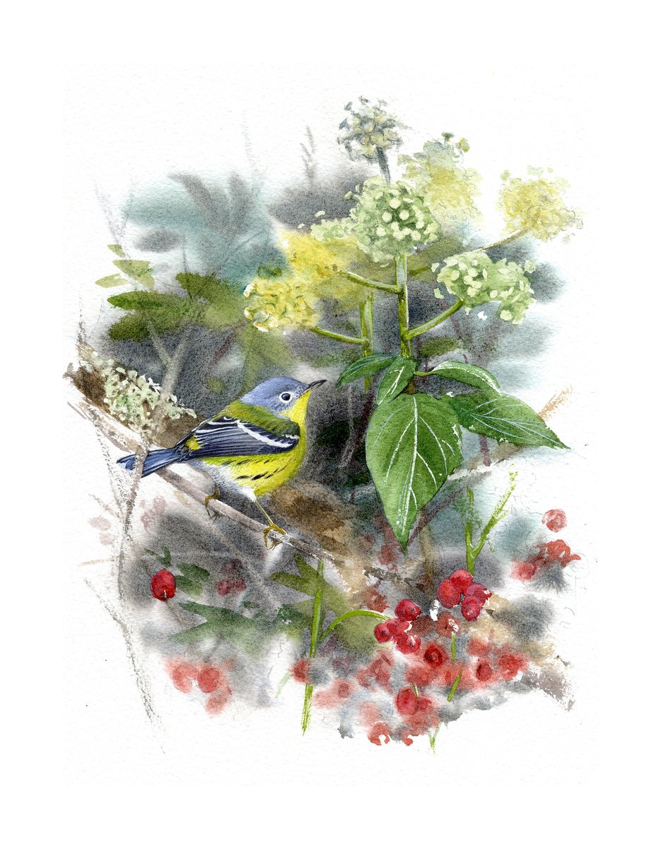 Ray Scally tweet media