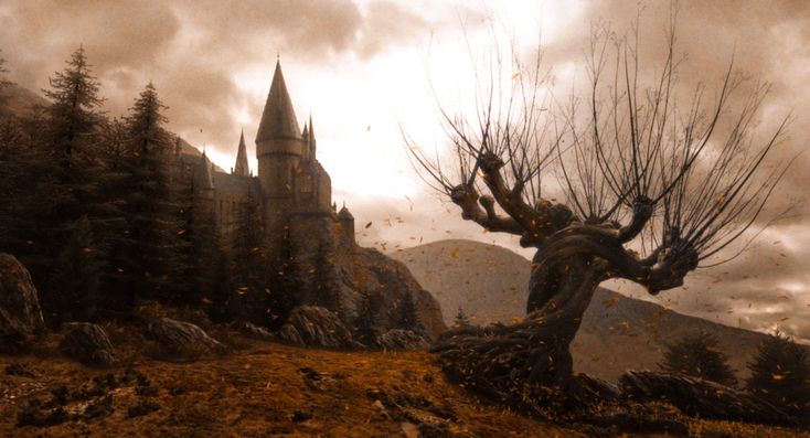 DailyHogxwarts's tweet photo. 🍂✨Hogwarts en otoño✨🍂 https://t.co/eehfVMrTZk