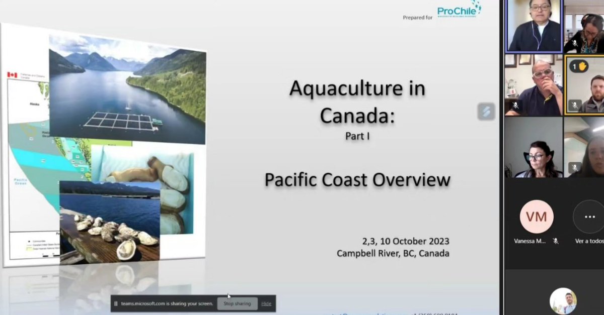 ProChile Canada tweet media