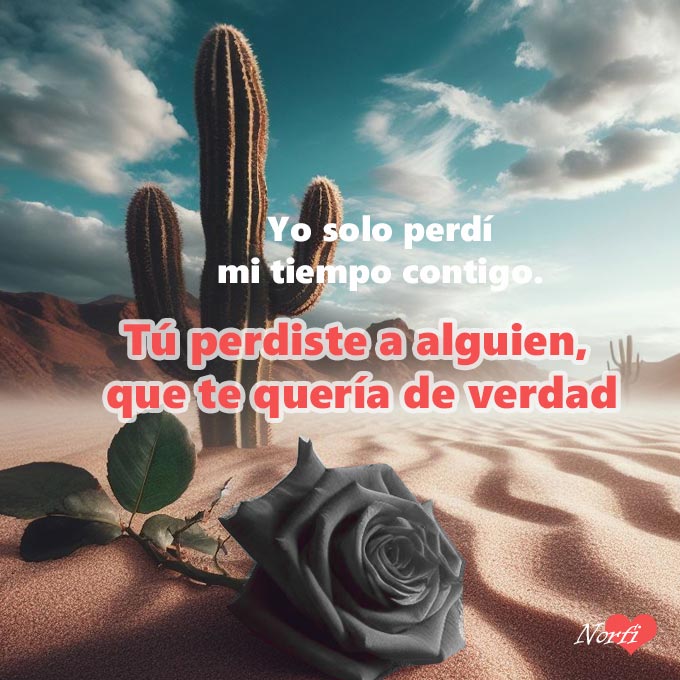 Yo solo perdí mi tiempo contigo.
Tú perdiste a alguien, que te quería de verdad.
norfipc.com/facebook/frase…
#reproches
#sarcasmos
