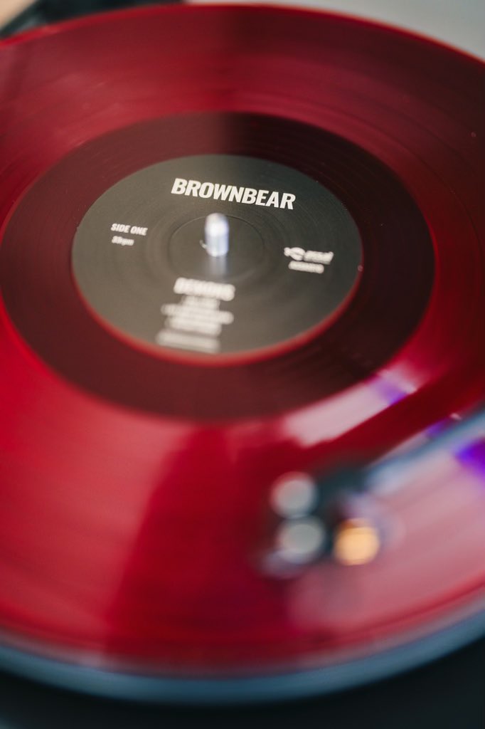 brownbear tweet media