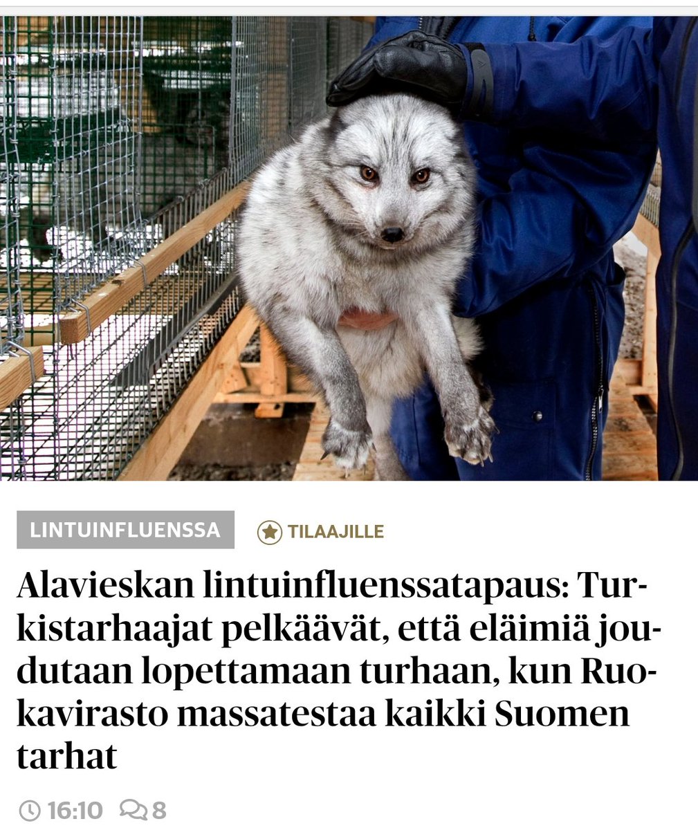 Joppekoira's tweet photo. Joku ilkeämielisempi voisi sanoa, että ihan sama mitä tapahtuu, ne eläimet lopetetaan turhaan. Yleensä sitä vaan kutsutaan liiketoiminnaksi. https://t.co/fW4QmvMias