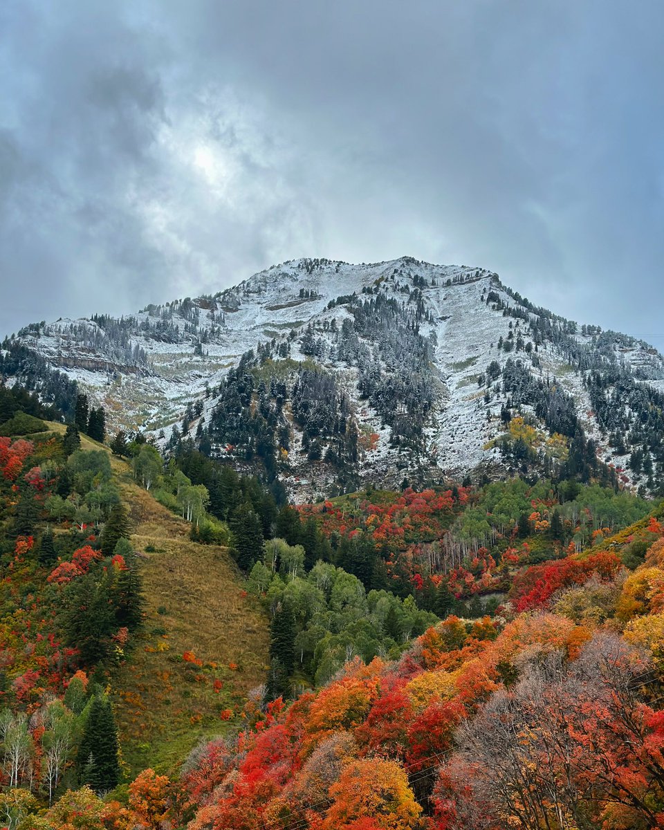 SundanceResort's tweet photo. Fall 🤝🏼 Winter @WasatchSnow @SkiUtah @SundanceResort https://t.co/loHMxnZKbw