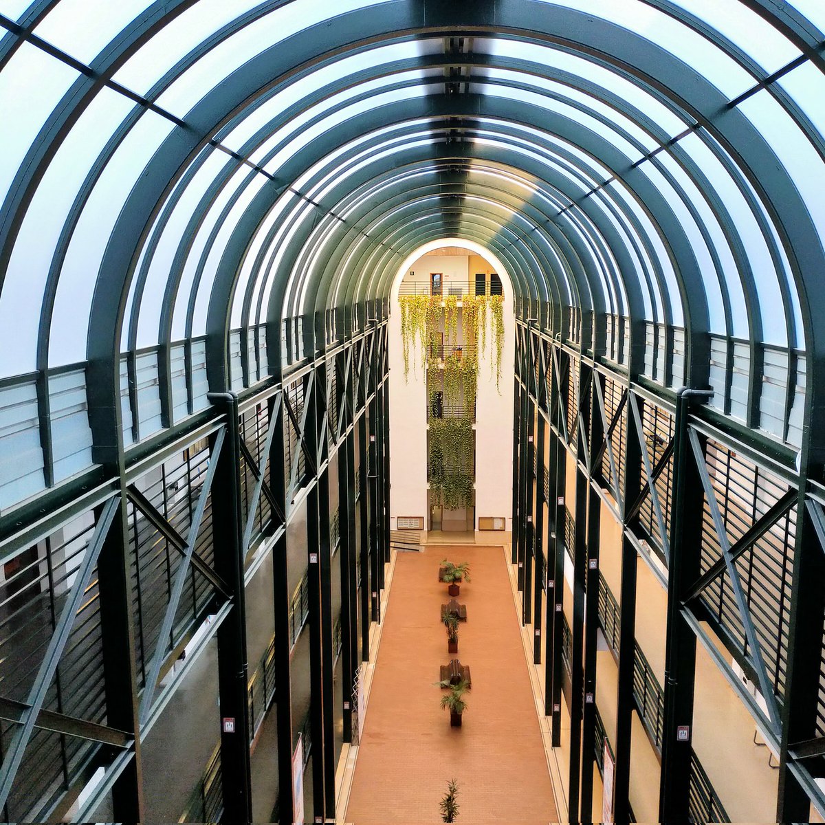 Máster Marketing e Investigación Aplicada_US tweet media