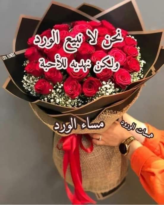 فريد العلى (@frydly66618) on Twitter photo 