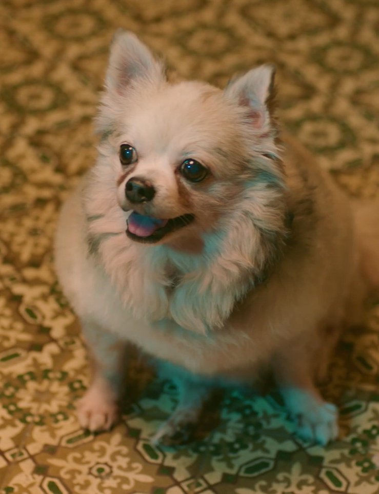 itsaysimp's tweet image. 