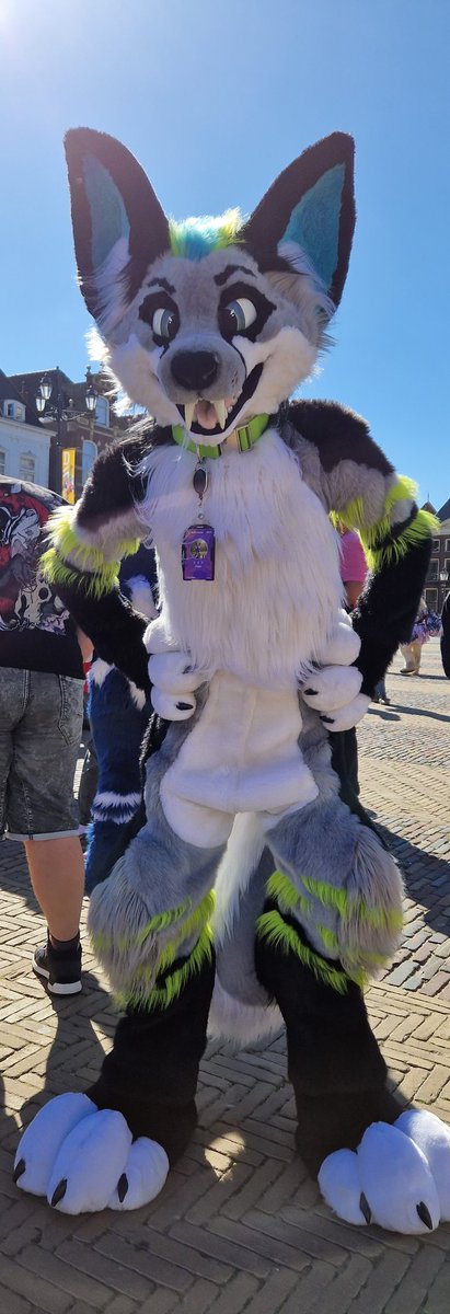 Mitch_Achates's tweet photo. And more fursuit pics of @alfurnative! 
This time: @Aviverine @Cartoon_doodles @ZiggyTheSpidox @horse_hazel @marrynfox and Den ❤️ https://t.co/7fHE7pXyst