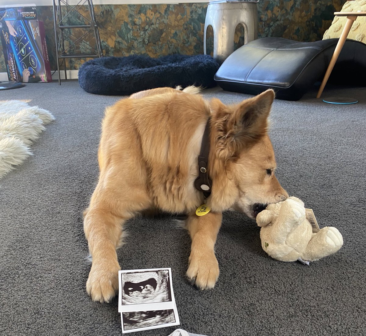 Olivia Chance tweet media