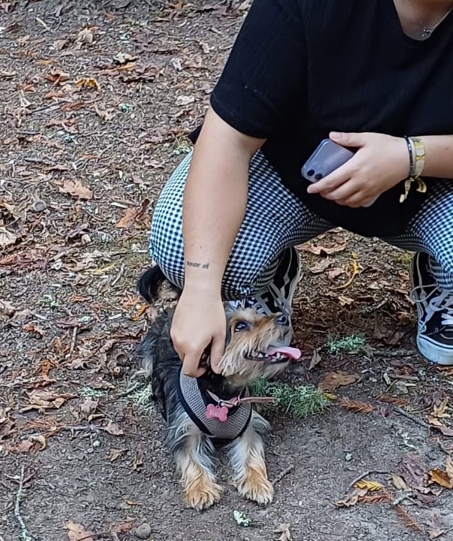 x dios mirade como me mira a bimba se me preguntan isto é o amor