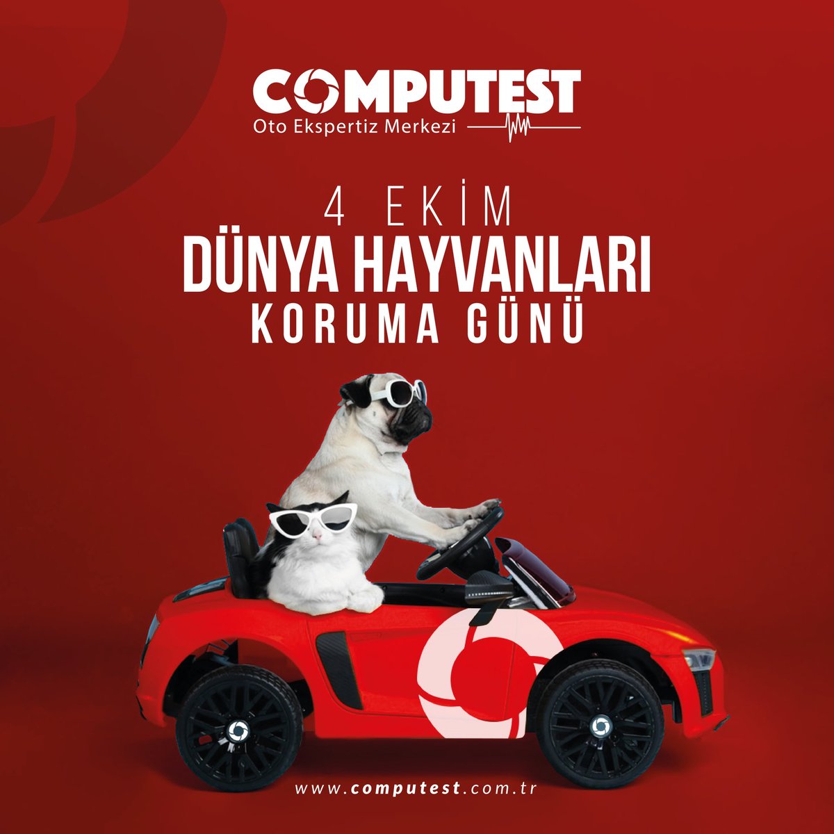computesttr's tweet photo. Sevgi En Büyük Koruyucudur. Dünya Hayvanları Koruma Günü kutlu olsun. 🐾🖤🐶🐦🐻

📍 Merkez Adresi: Serhat Mah., 1435 Sk., No: 15, Ostim/ANKARA

🌐 https://t.co/2N7XWtKqNJ

📞 444 27 76

#computest #4ekimhayvanlarıkorumagünü #computestotoekspertiz #turkiyeninotoekspertizmarkasi https://t.co/8PVC3zGD5a