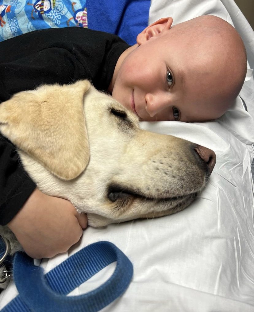 rmchildrens's tweet photo. Aww! Snuggle alert! 🤗 Looks like Posey made a new bestie! 🐶 Nothing like a good snuggle and some playtime to make you feel better 💕 

#giveadogajob #posey #poseygirl #dog #dogsofinsta #pediatrics #facilitydog #RMCHF https://t.co/xMMUT7chD7