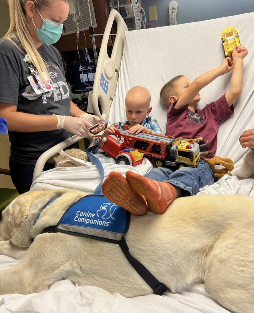rmchildrens's tweet photo. Aww! Snuggle alert! 🤗 Looks like Posey made a new bestie! 🐶 Nothing like a good snuggle and some playtime to make you feel better 💕 

#giveadogajob #posey #poseygirl #dog #dogsofinsta #pediatrics #facilitydog #RMCHF https://t.co/xMMUT7chD7