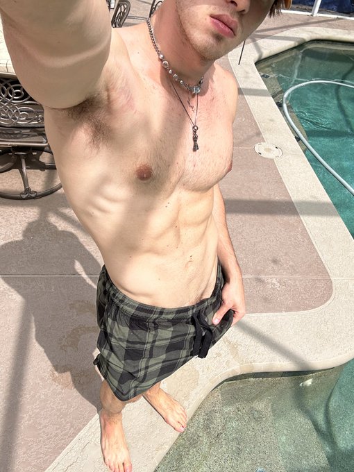 The dogs are out https://t.co/iX03fbz9nZ