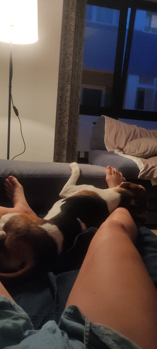 codina_ari's tweet image. Perrito si mi tobillo es tu cojin prefiero perder el pie a que pierdas el sueño