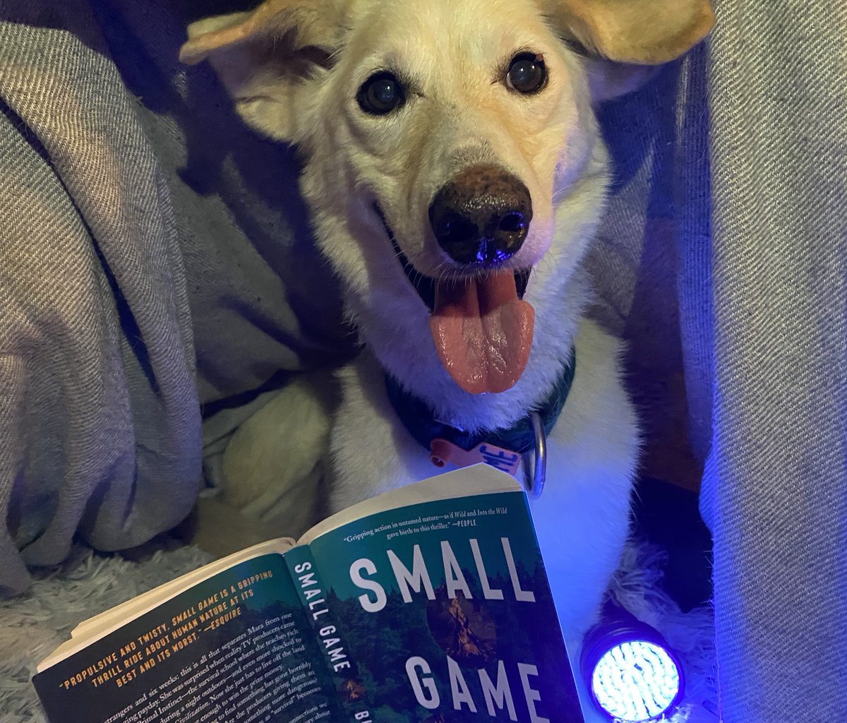 We caught somebody hiding deep under the covers last night, reading Small Game by flashlight. The paperback launches today! It’s available online and in bookstores. And also apparently in Flame’s bed.