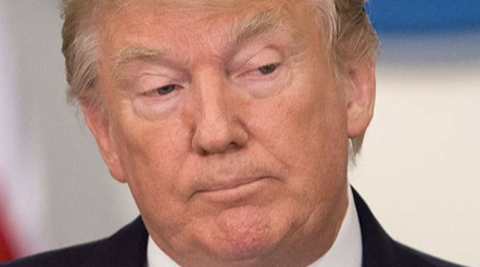 CALL TO ACTIVISM tweet media