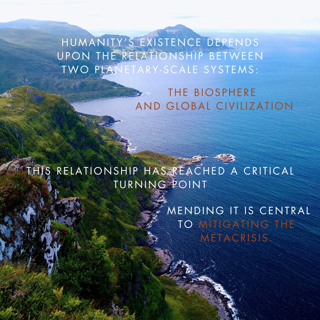 Andrea Owe - Existential Risk from the Wild tweet media